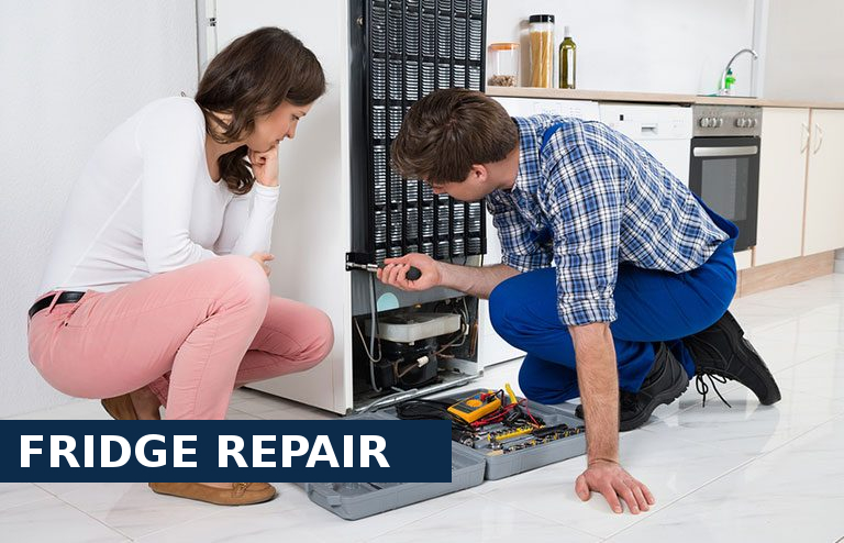 Fridge Repair Belmont